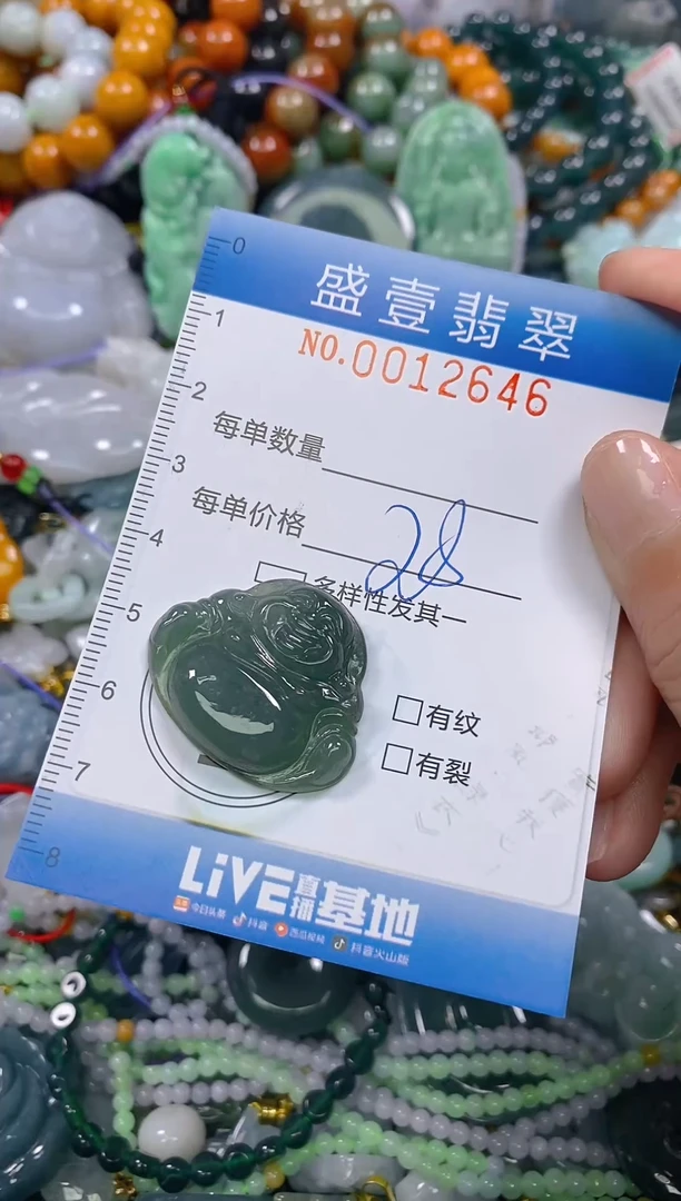 颈饰未镶嵌翡翠闪购0012646