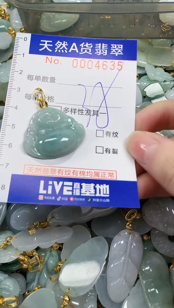 颈饰未镶嵌翡翠天然a货翡翠