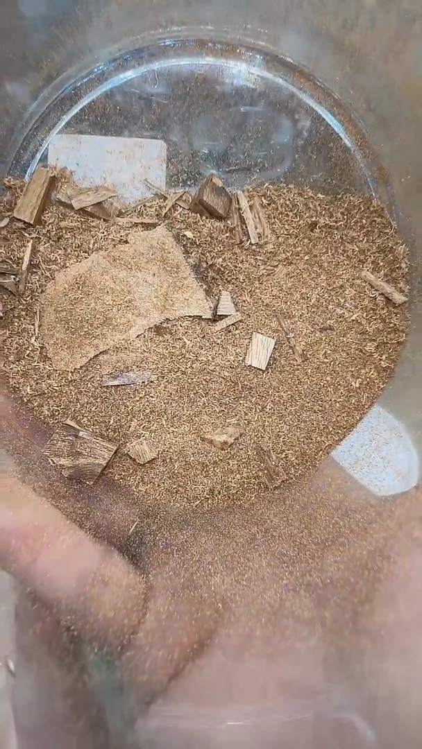 沉香香囊沉香马泥涝碎料锯沫3g装