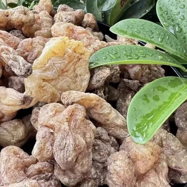 精选高山【玉精灵】珍藏 500g   阿刚专属