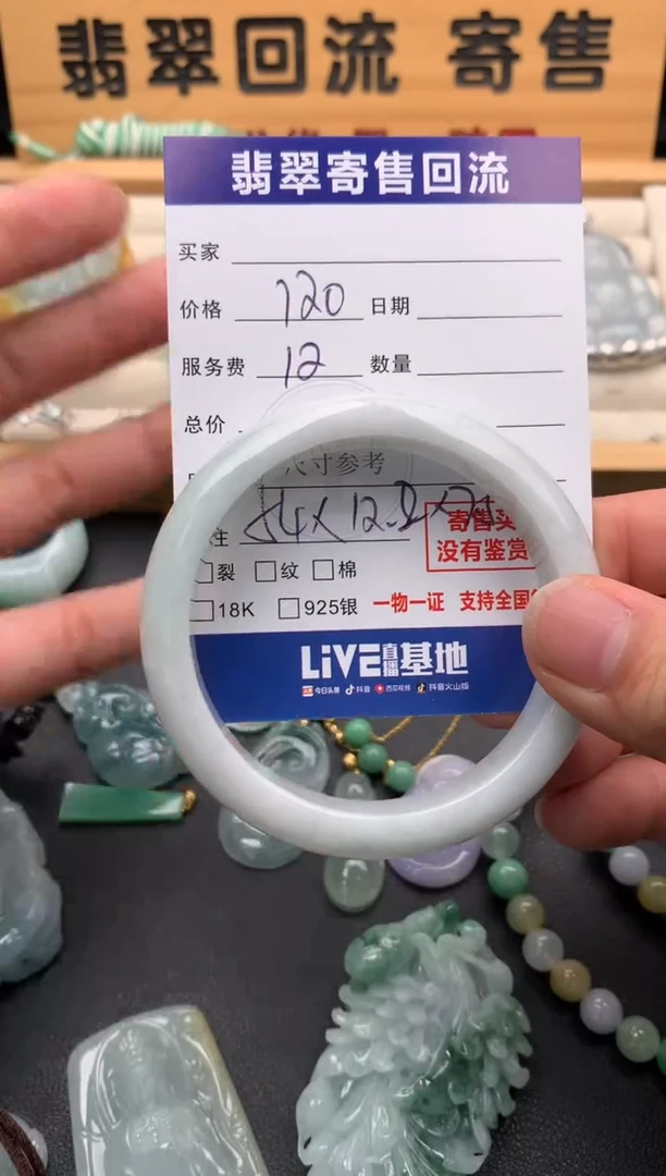 未镶嵌手镯翡翠10143480