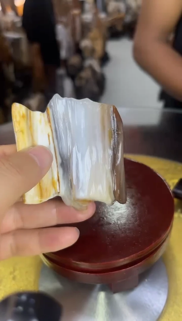 硅化玉珠宝奇石未镶嵌缅甸天然树化玉