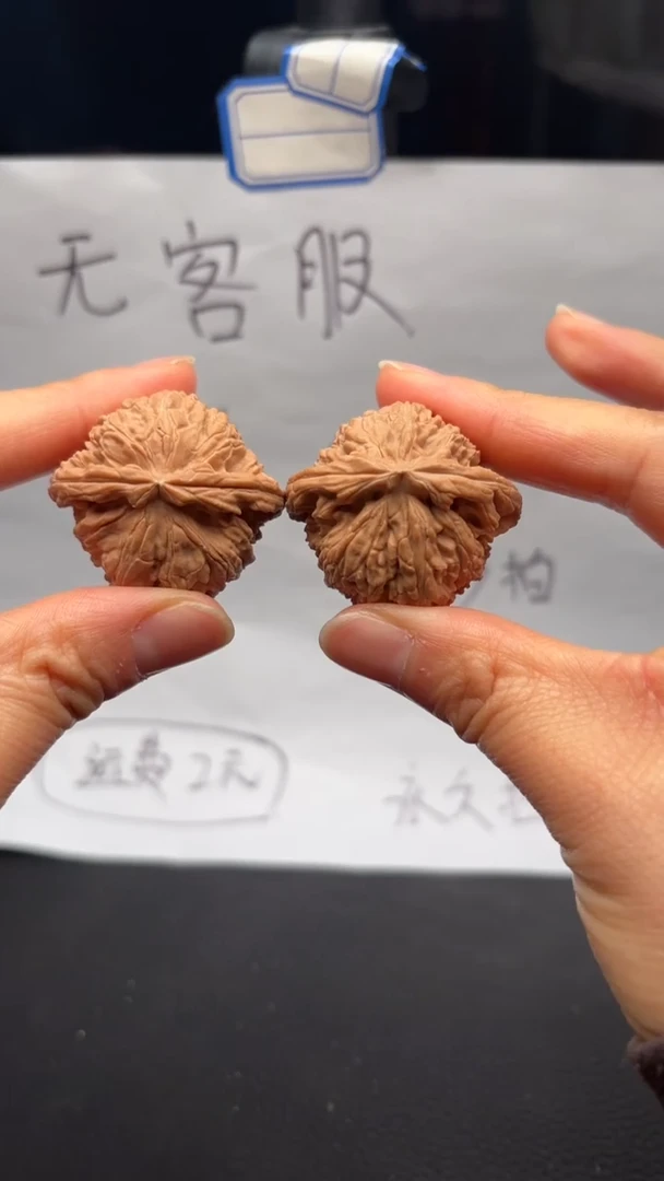 把件文玩核桃26白狮子