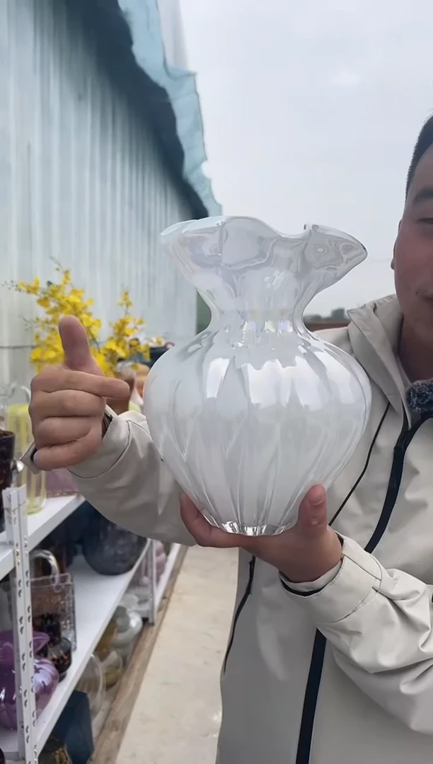 水养鲜花干花插花客厅装饰品大