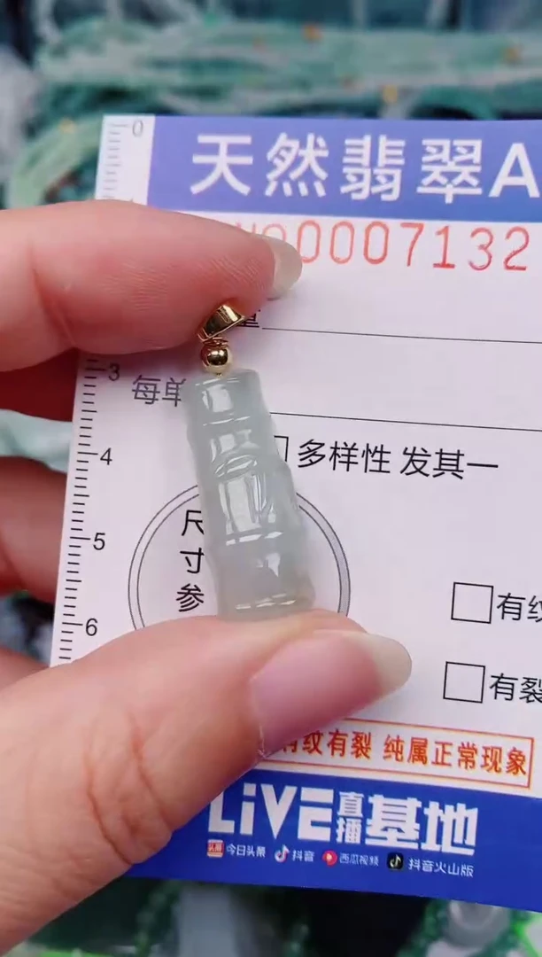 颈饰未镶嵌翡翠00007132