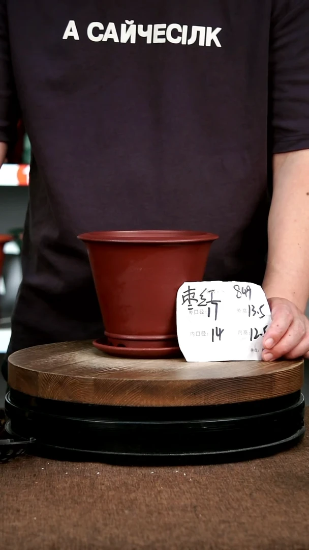 紫砂花盆花卉园艺849+Z