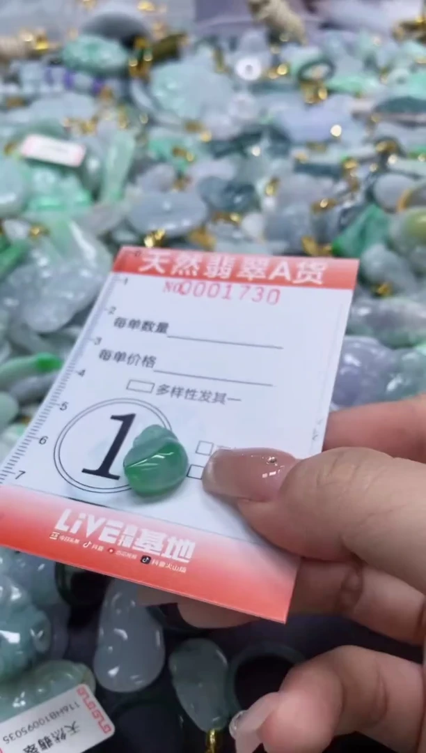 翡翠未镶嵌颈饰闪购0001730