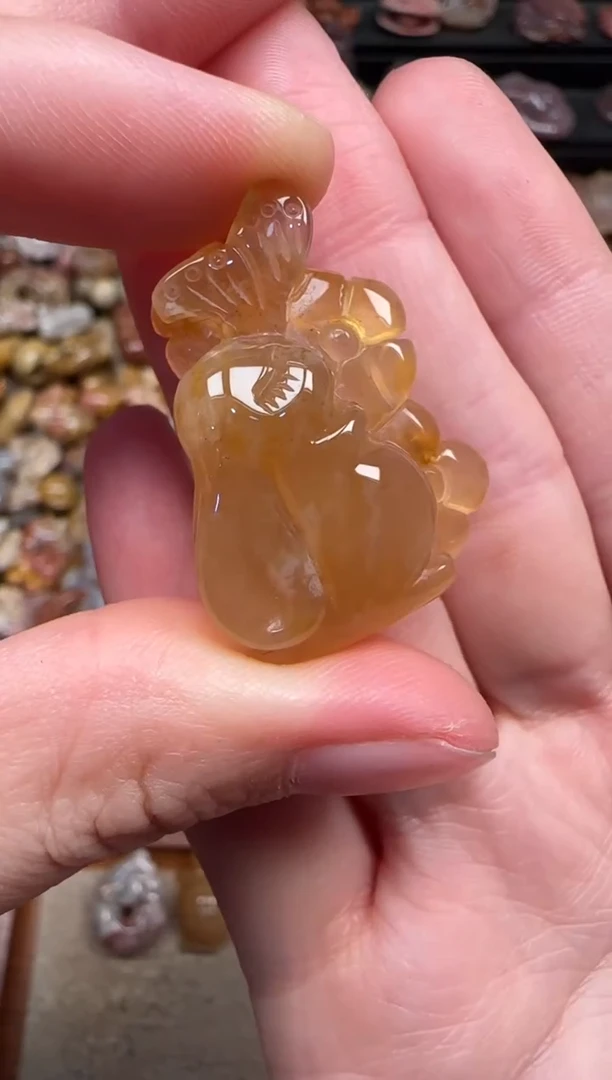 颈饰未镶嵌硅化珊瑚（珊瑚玉）668