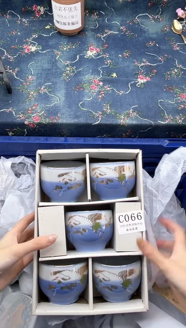 瓷片          C066*