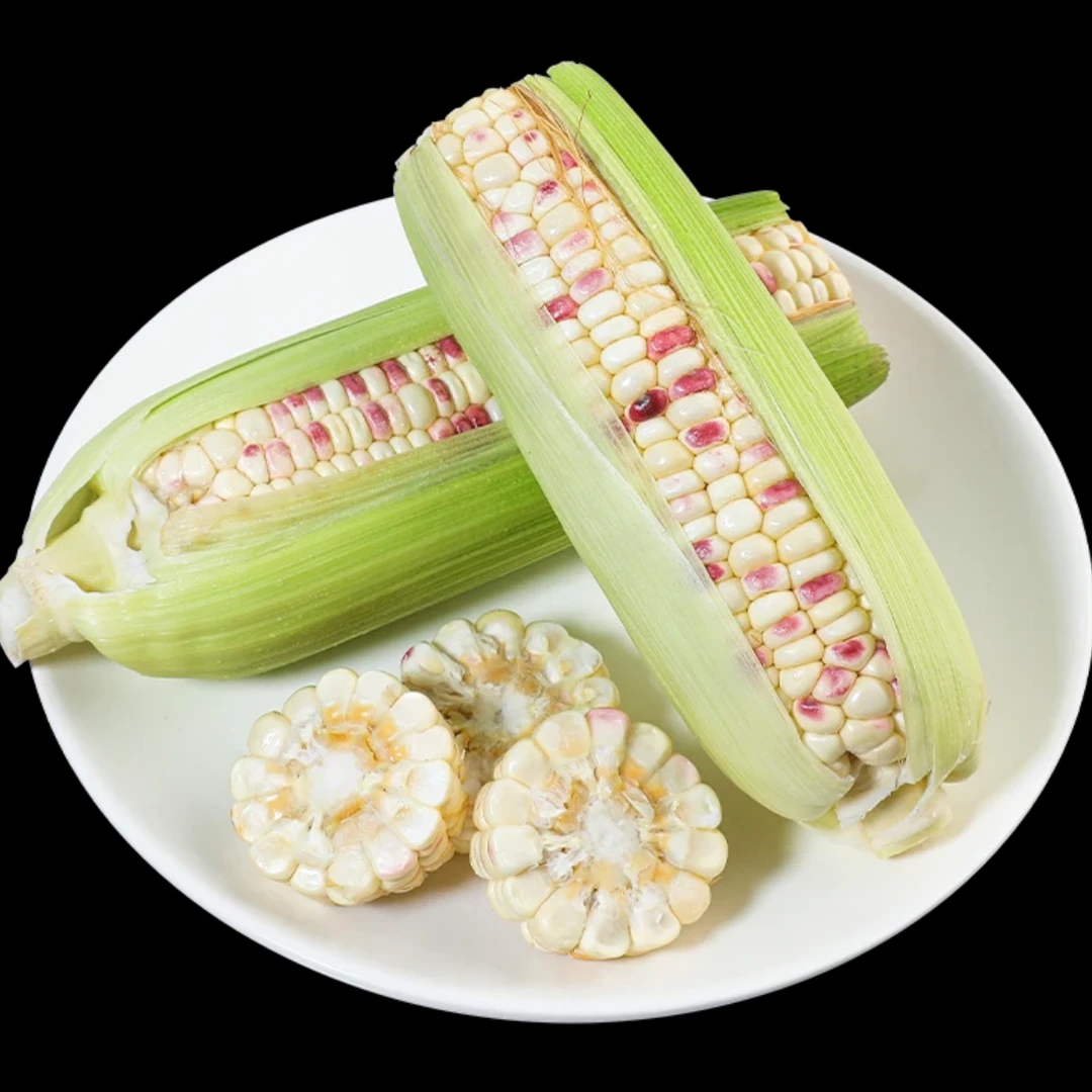 南汇花糯玉米新鲜上海市