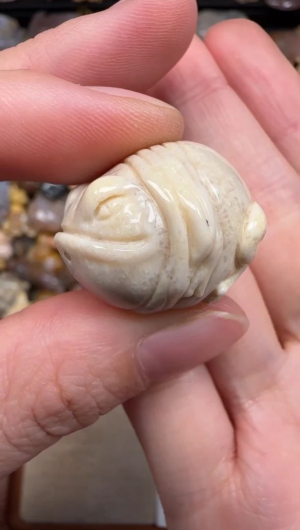 硅化珊瑚（珊瑚玉）未镶嵌颈饰665