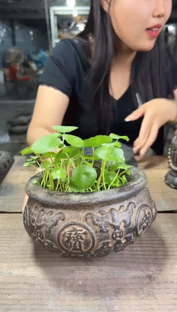 陶土【火山泥】聚宝盆{不带绿植}