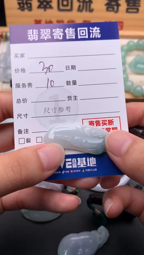 颈饰未镶嵌翡翠10144500