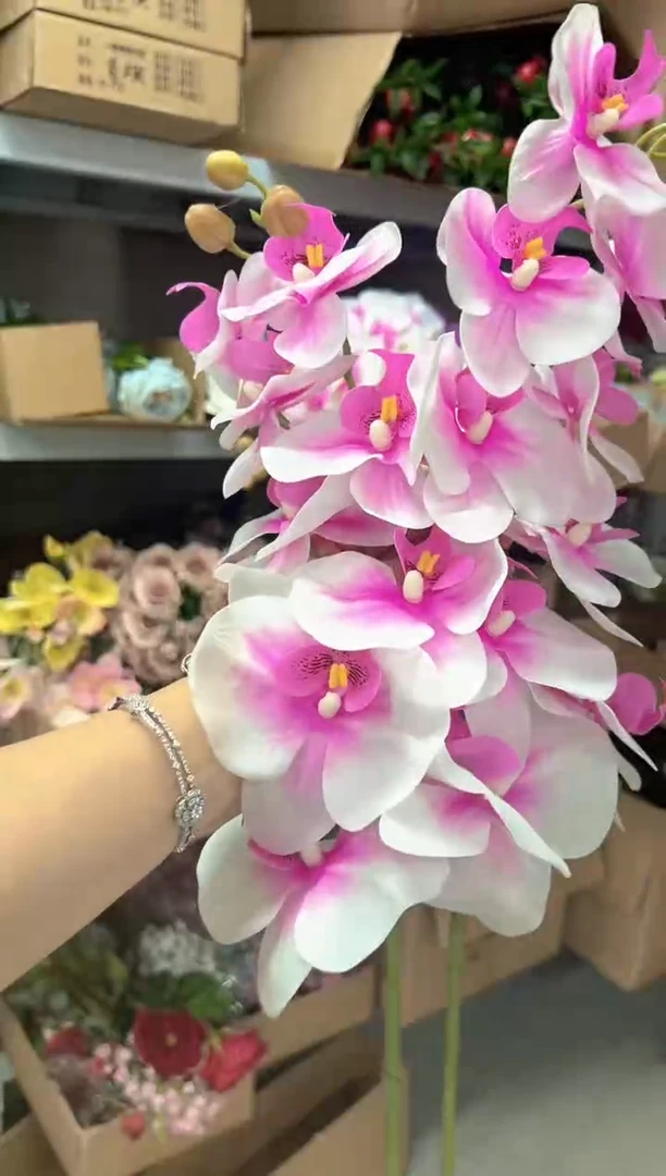 2枝粉色9头蝴蝶兰