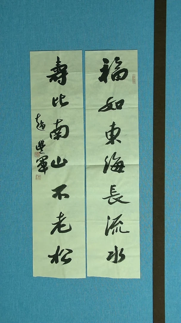 【闪购商品】书法066 河南赵丰军 中书协69*16*2