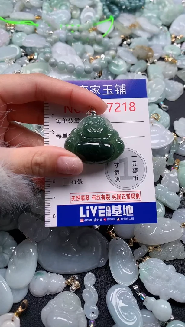 颈饰未镶嵌翡翠7218