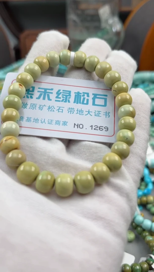 绿松石未镶嵌松石1269