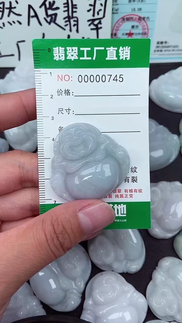颈饰未镶嵌翡翠缅甸天然翡翠拍一发一00745