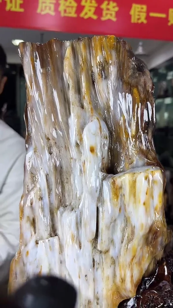 未镶嵌珠宝奇石硅化玉缅甸天然树化玉摆件