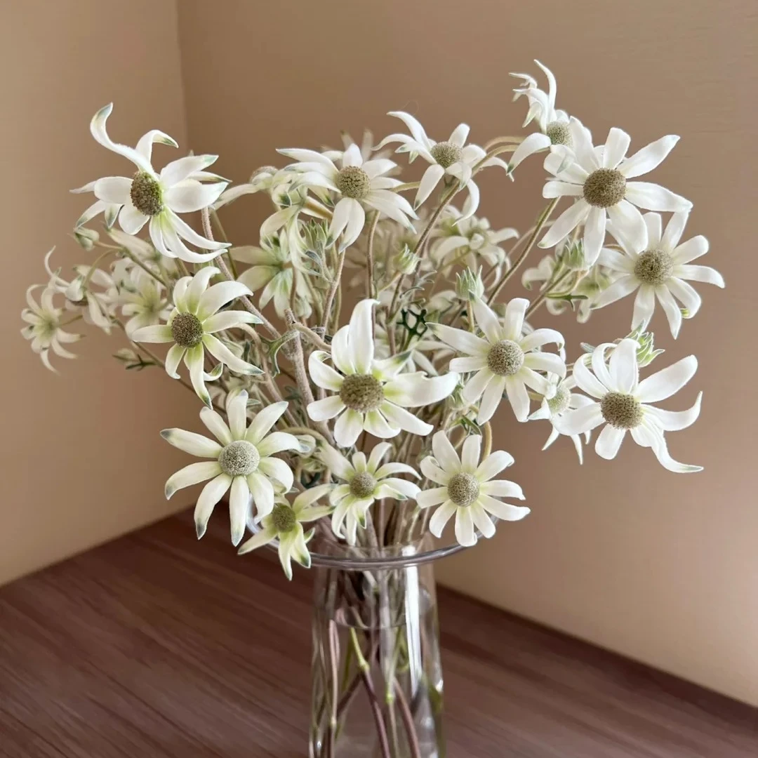 【七礼夫人】法兰绒花 雪绒花  进口小众轻奢花材