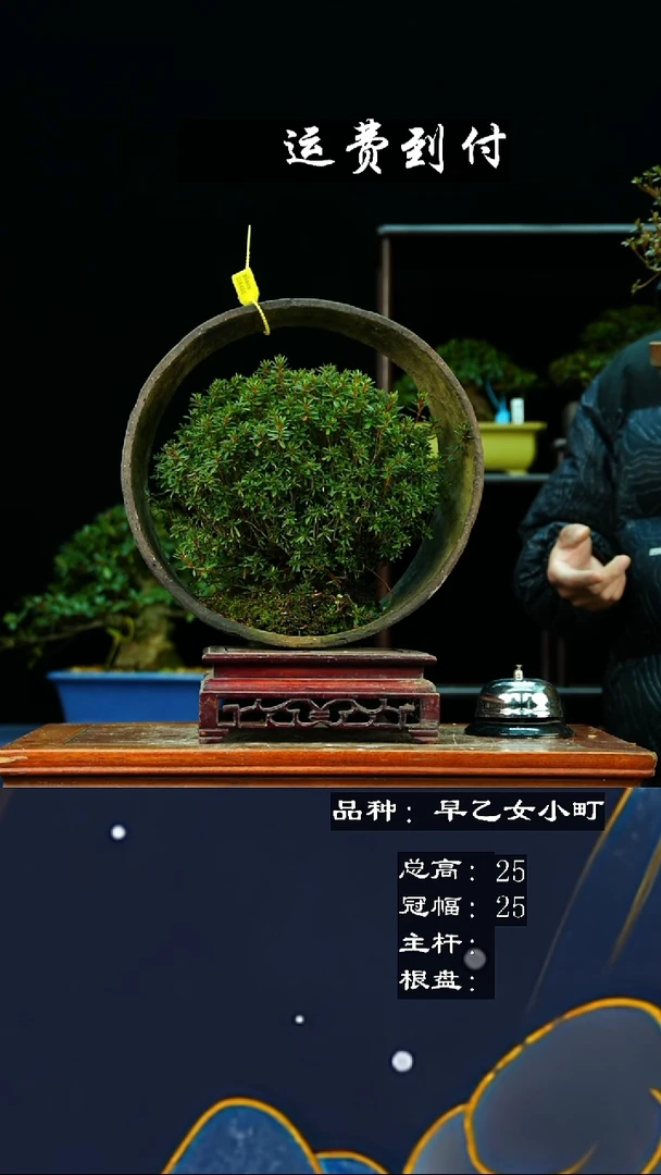 【闪购商品】无118453