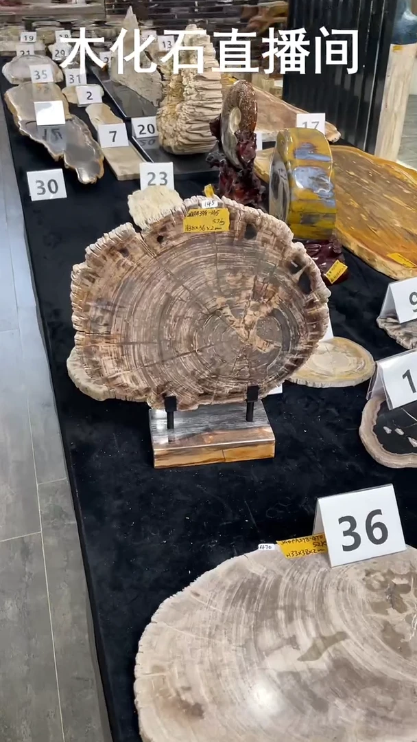 石材二*木化石底座摆件一件 398-145