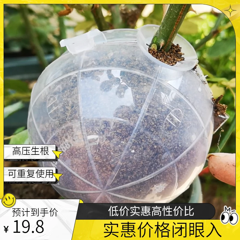 路兮小农民 高压生根器果树花卉高压繁殖育苗圆形育苗方便高效