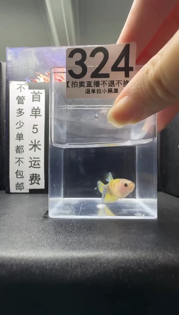 斗鱼母鱼编号：324