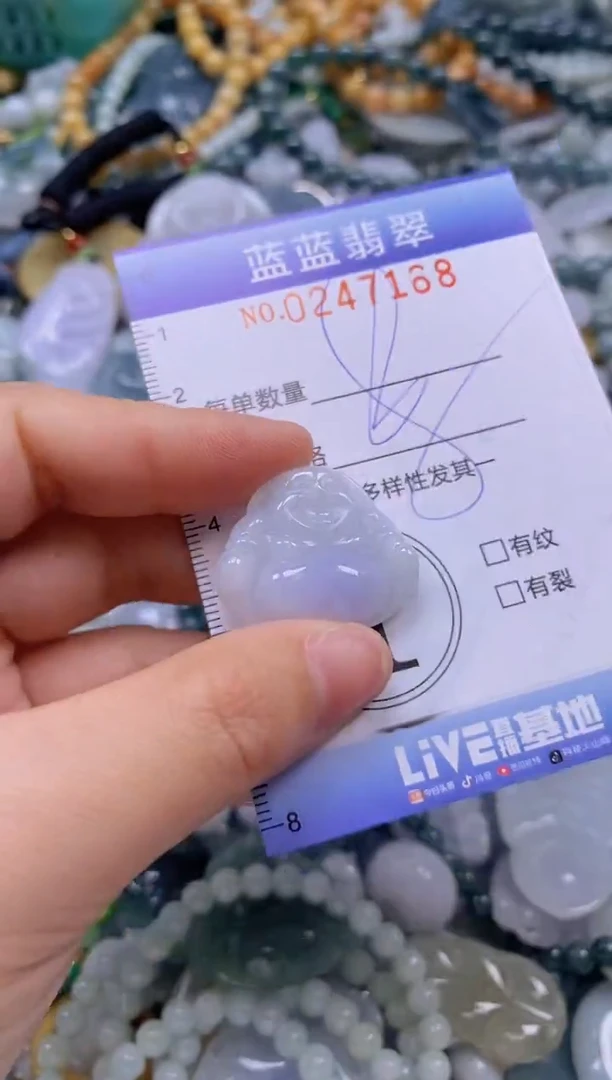 翡翠未镶嵌颈饰闪购0247168