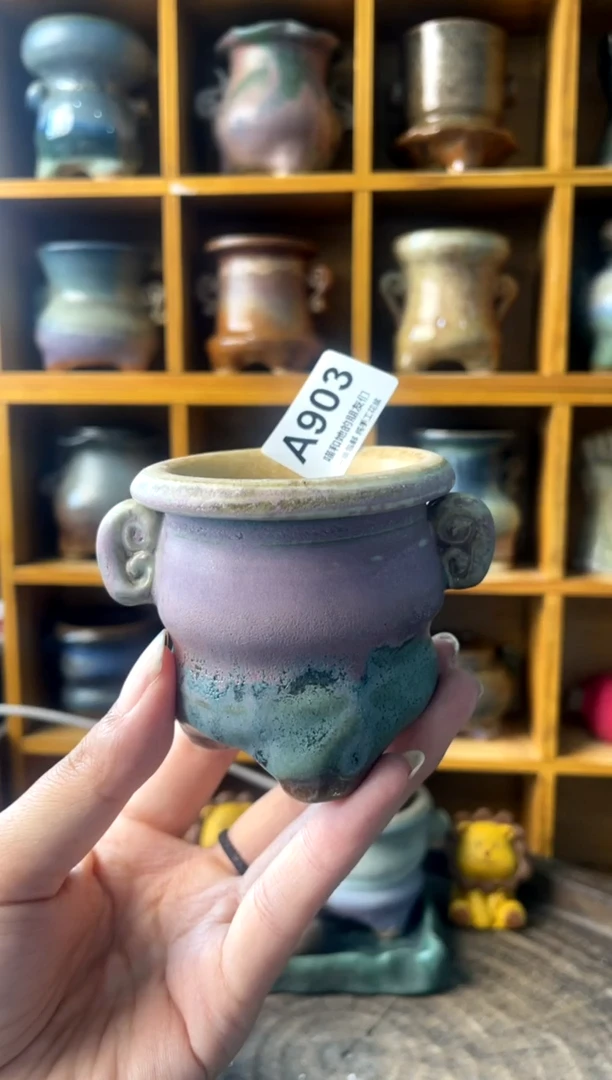 903内口5【多肉花盆多肉盆】