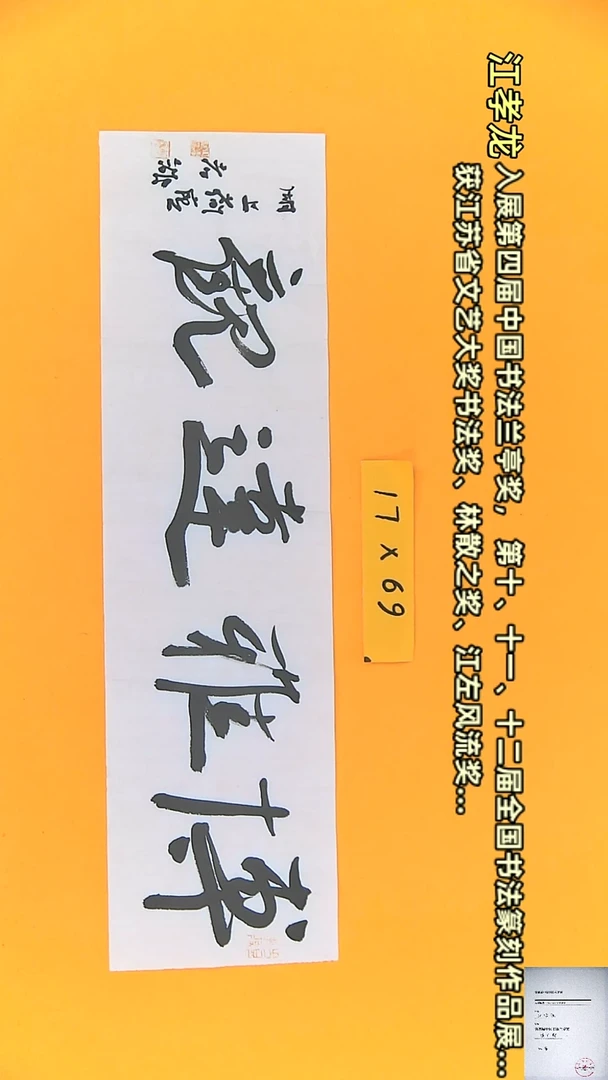 【闪购商品】书法江孝龙书法作品博雅达观17*69