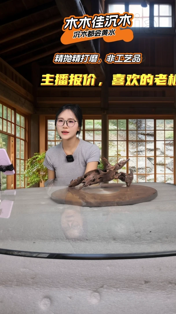 Y**G木木佳鱼缸造景沉木-954
