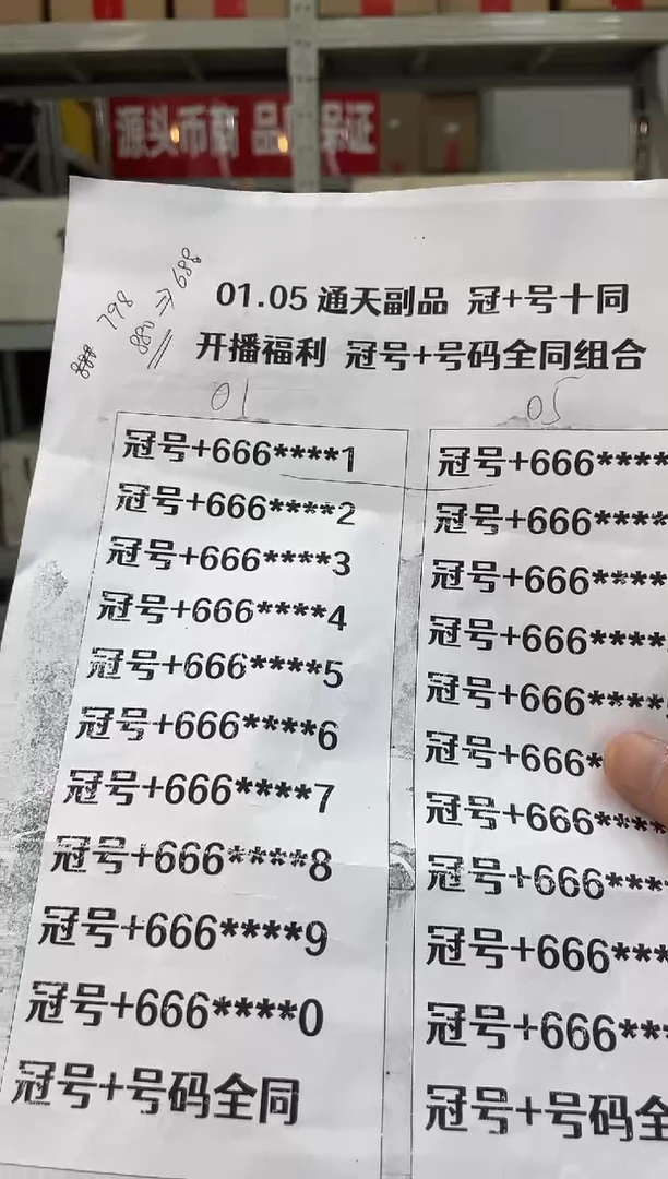 【六六大顺】通天豹冠+号十同龙凤胎标十对