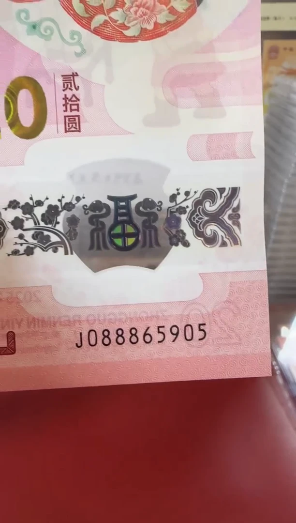 【闪购商品】塑料25蛇钞088865905单张裸