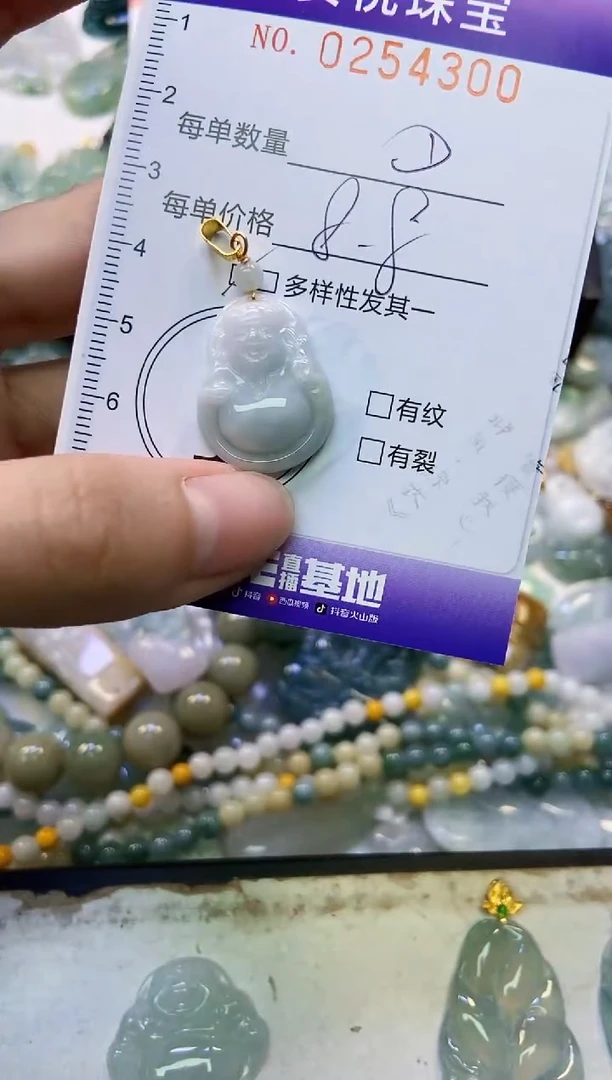 颈饰未镶嵌翡翠闪购0254300多样性发其一