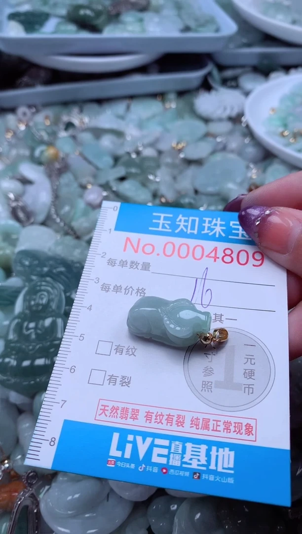翡翠未镶嵌吊坠(不含链)4809
