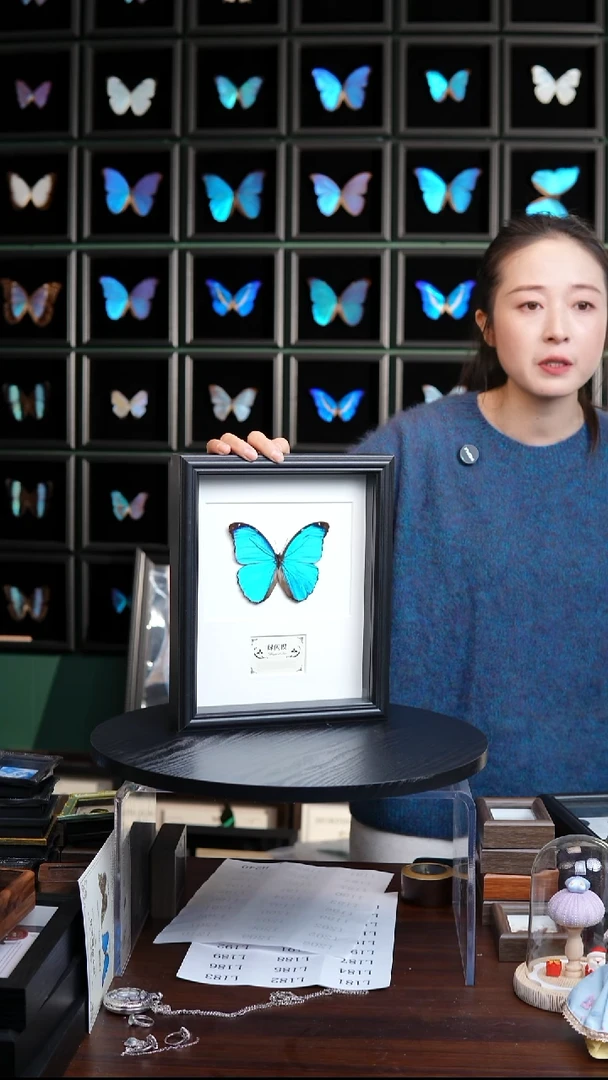 绿闪蝶标本摆件10寸