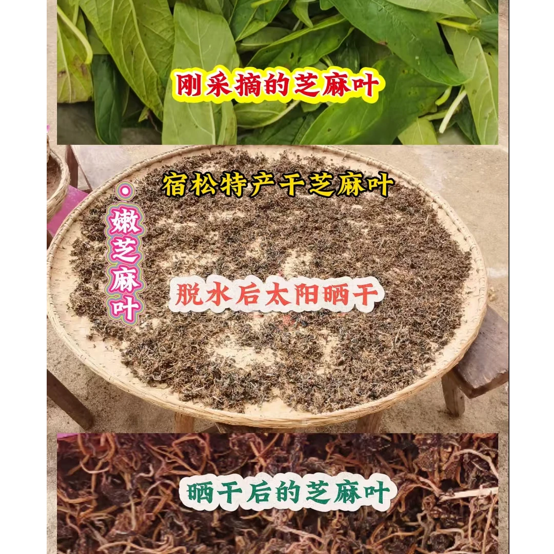 新货芝麻叶宿松特产干芝麻叶农家晒干嫩芝麻叶