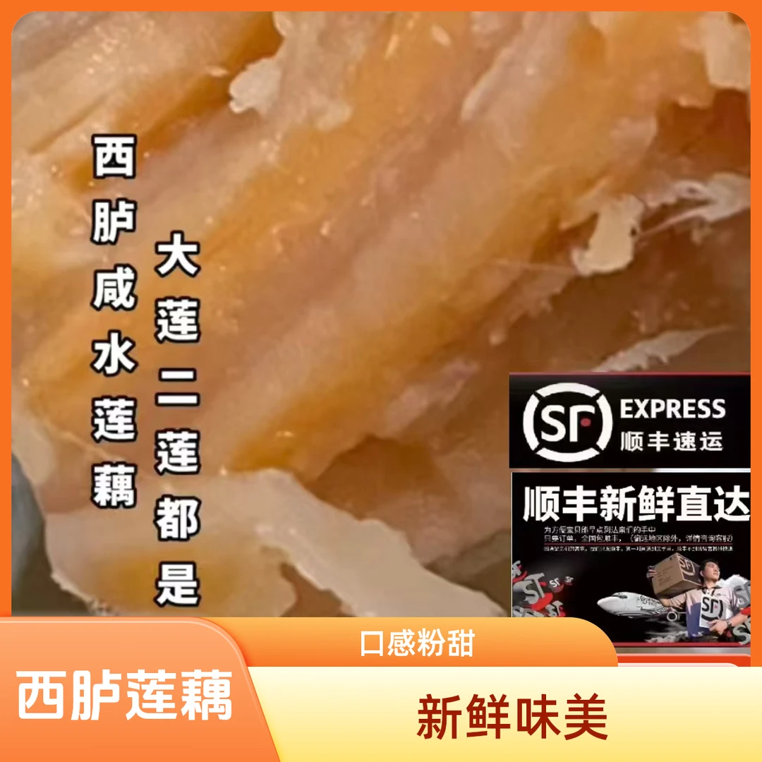 西胪咸水莲藕现挖现发口感香粉甜莲藕味十足