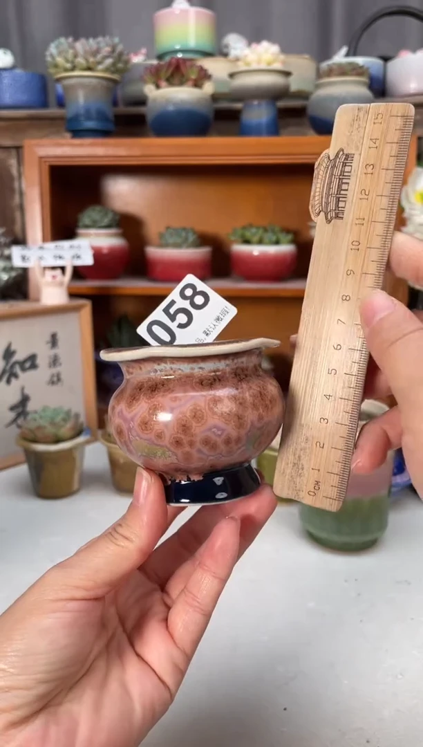 瓷片058小芳直播编号