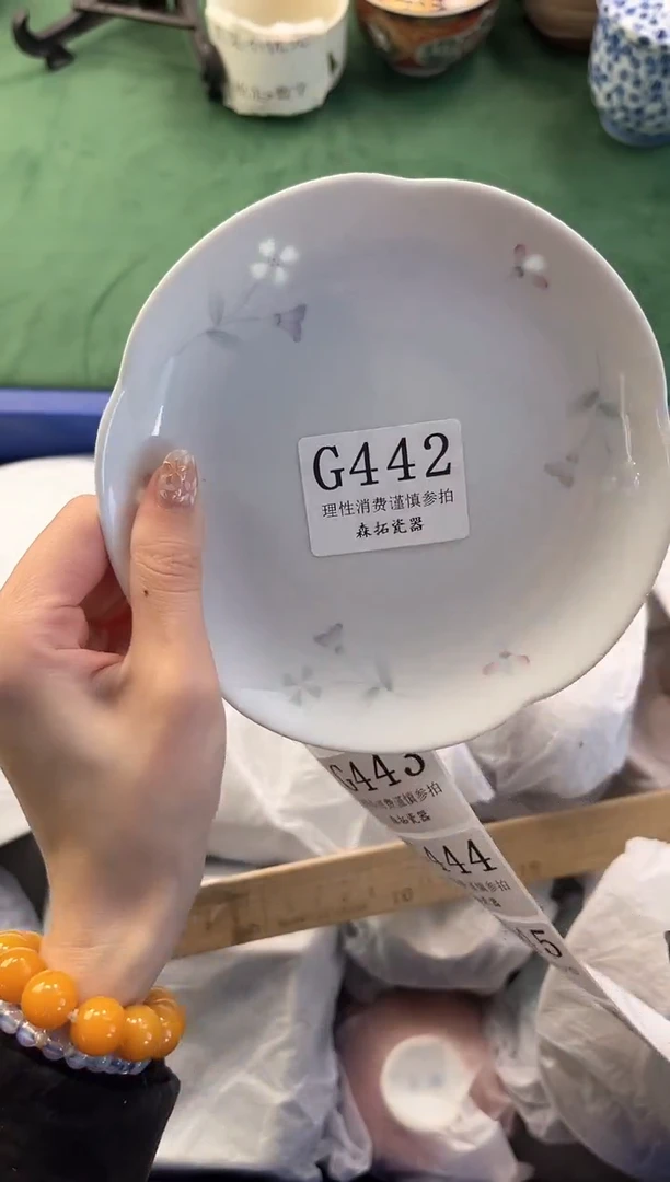 【闪购商品】瓷片          G442