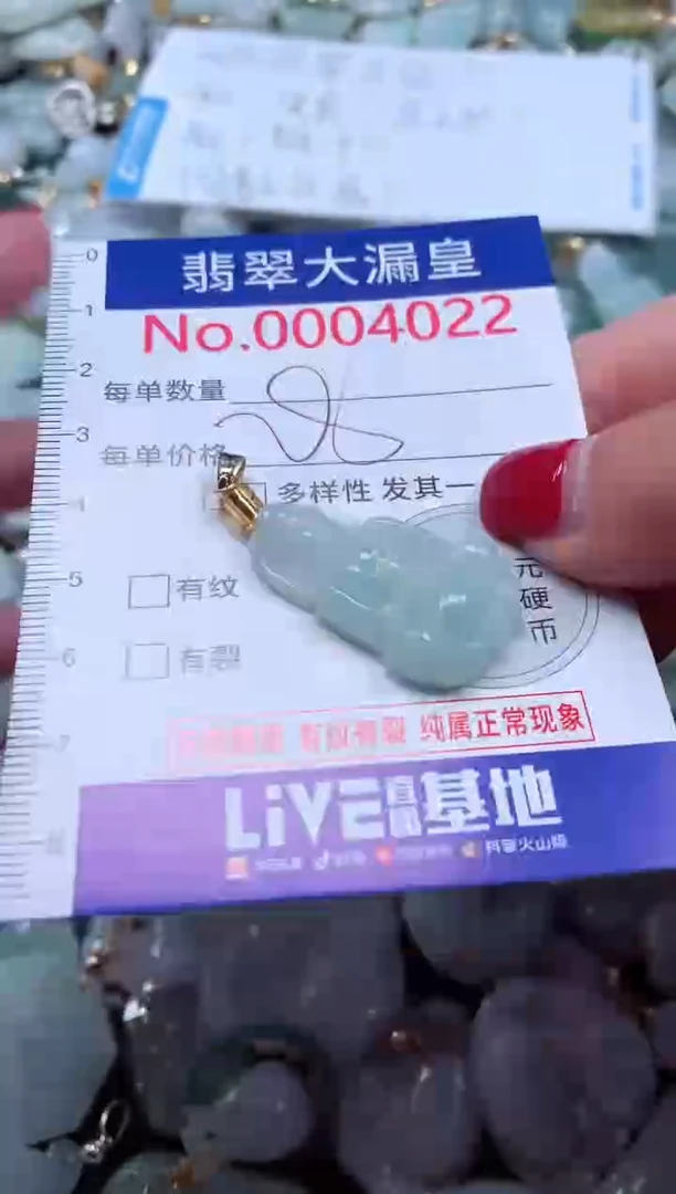 颈饰未镶嵌翡翠4022