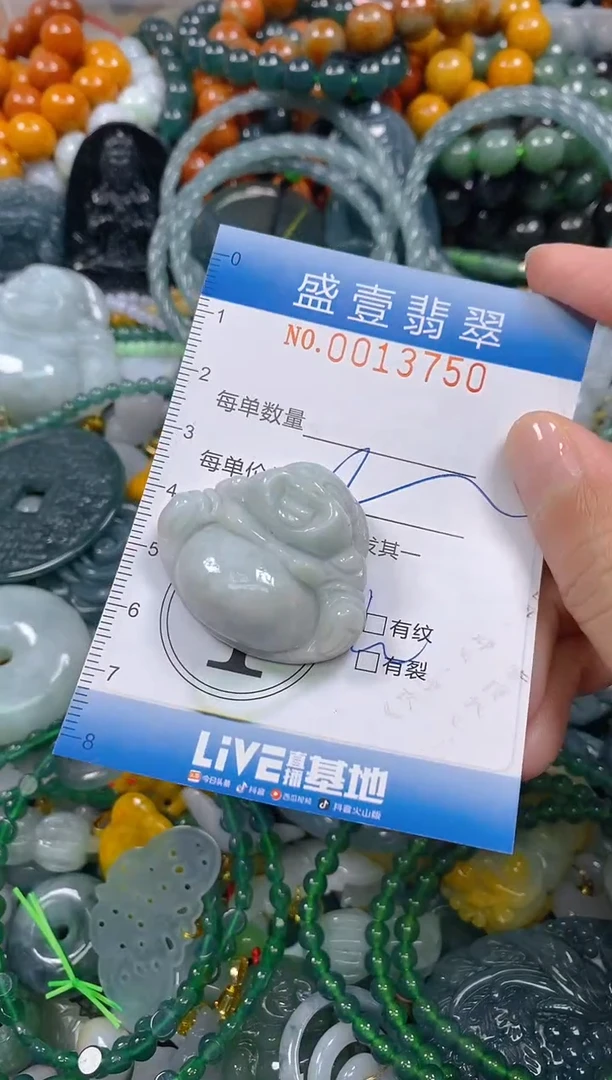 颈饰未镶嵌翡翠闪购0013750