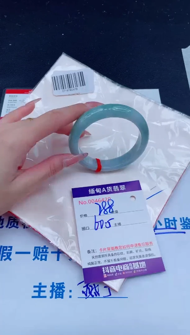 未镶嵌手镯翡翠288