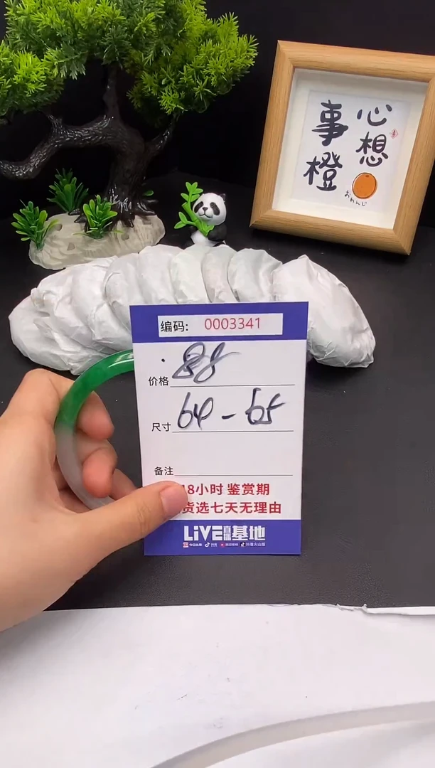 未镶嵌手镯翡翠0003341