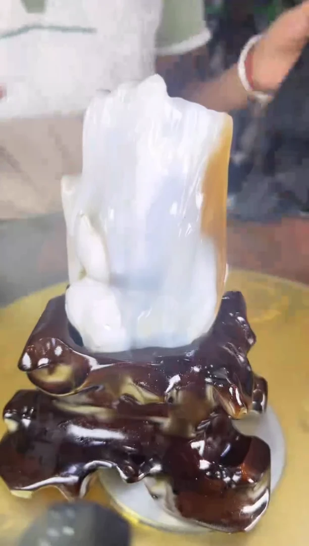 未镶嵌珠宝奇石硅化玉缅甸天然树化玉精品摆件