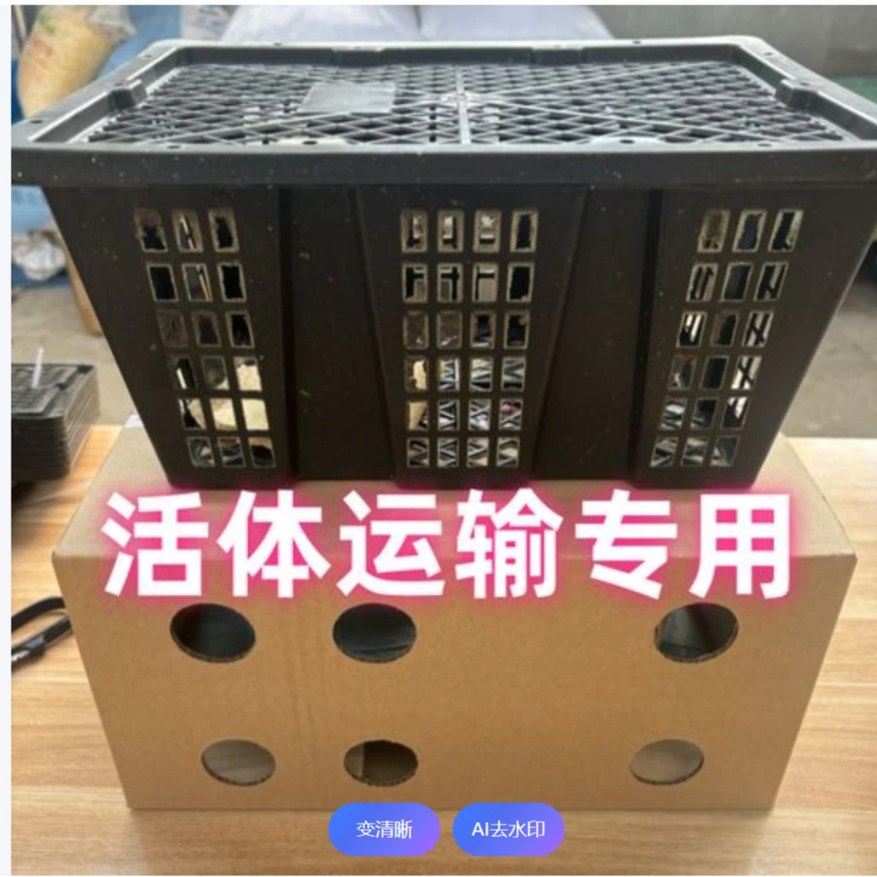 兔子专用耐用塑料运输笼包邮