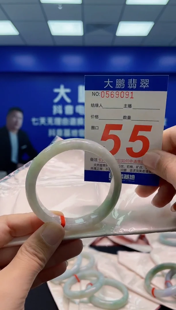 未镶嵌手镯翡翠AAAAAAAAA