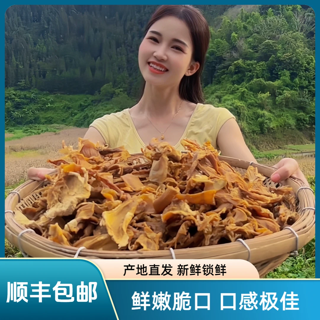 【顺丰包邮】广西天峨高山笋干嫩笋尖笋片天然农家特色食材