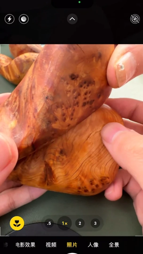 【闪购商品】柏木（崖柏）把件多样性发其一微裂 YB64218B